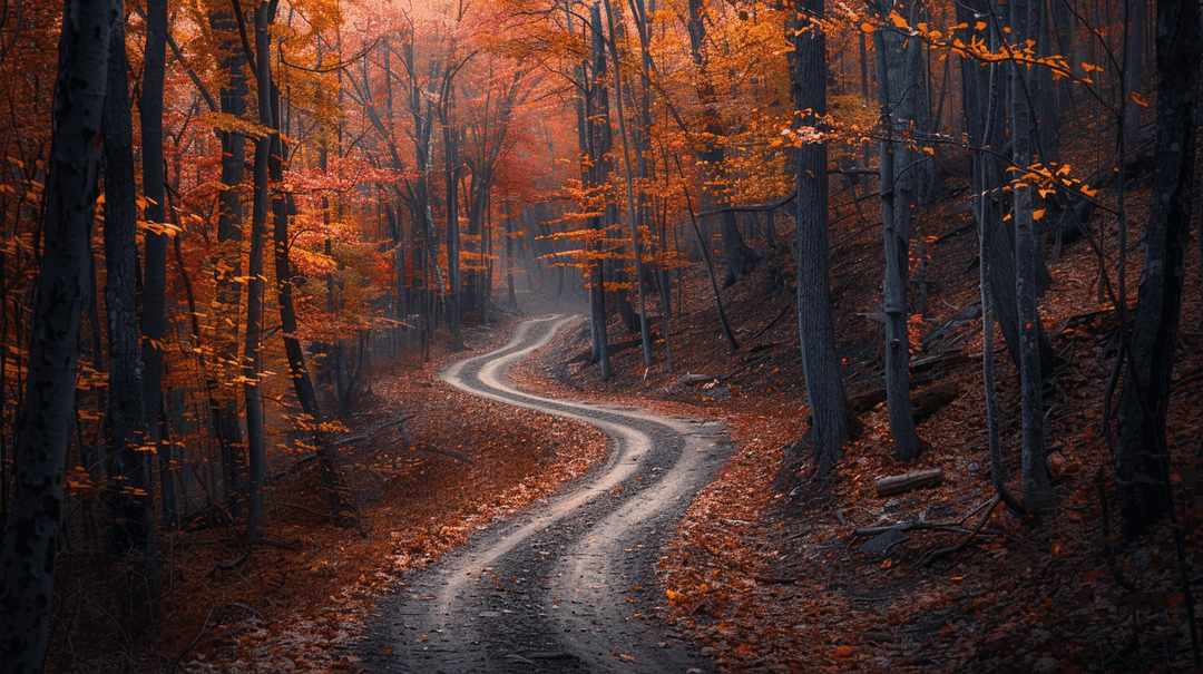 Fall Wallpaper 1 - Autumn Aesthetic Phone Background HD