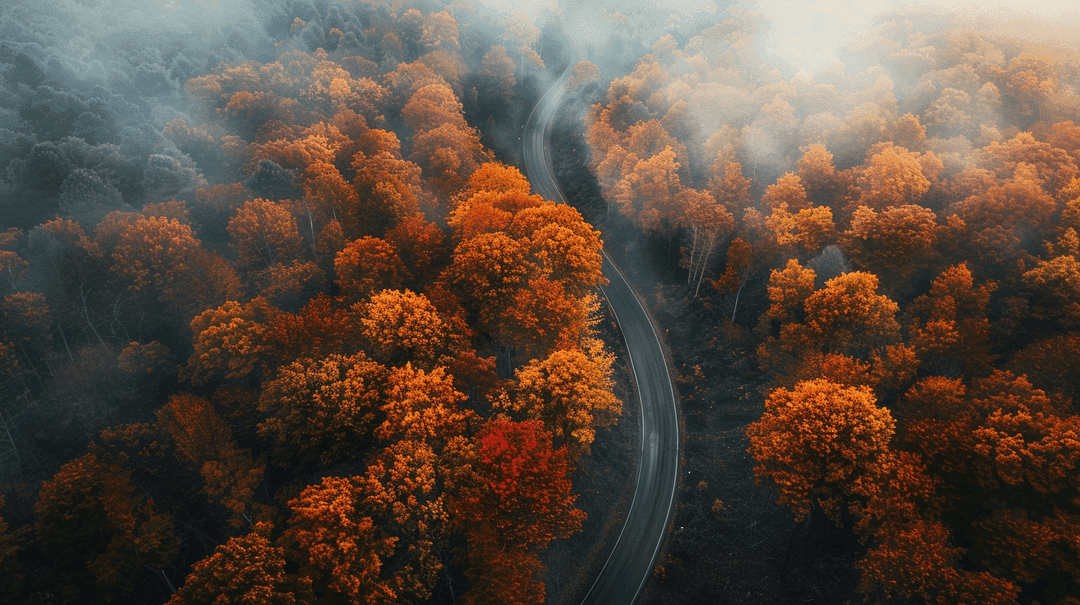 Fall Wallpaper 13 - Autumn Aesthetic Phone Background HD