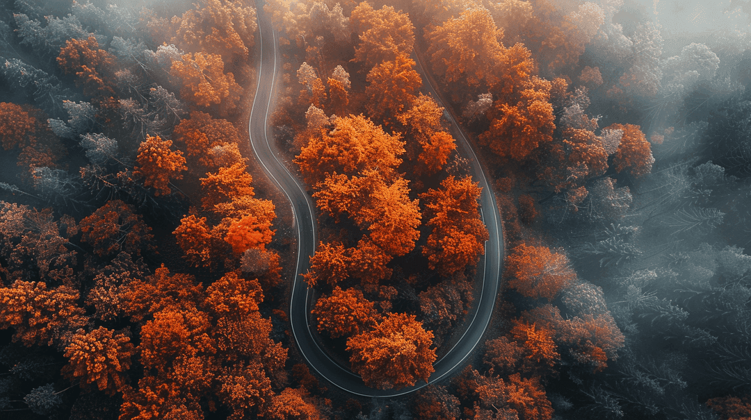 Fall Wallpaper 14 - Autumn Aesthetic Phone Background HD