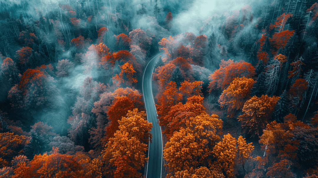 Fall Wallpaper 15 - Autumn Aesthetic Phone Background HD