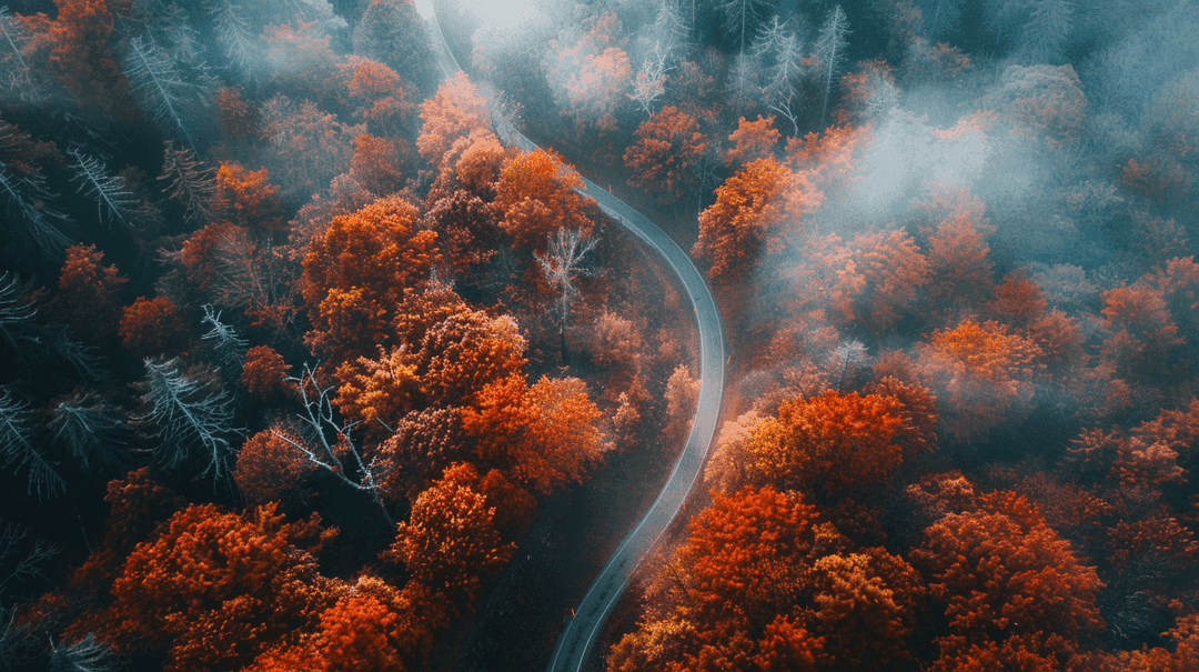 Fall Wallpaper 16 - Autumn Aesthetic Phone Background HD