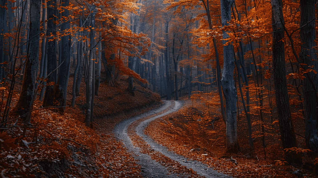 Fall Wallpaper 2 - Autumn Aesthetic Phone Background HD