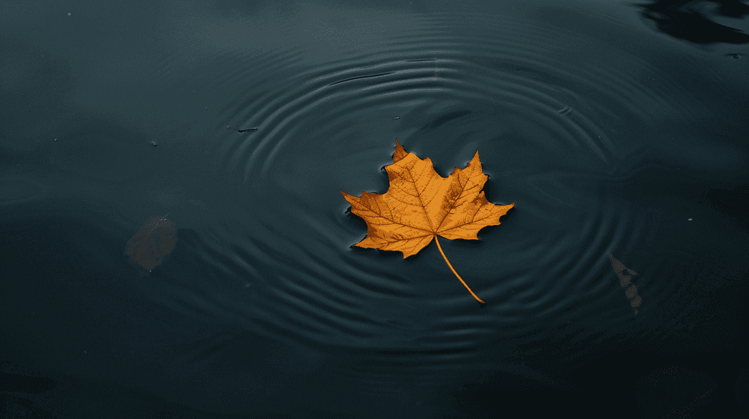 Fall Wallpaper 21 - Autumn Aesthetic Phone Background HD