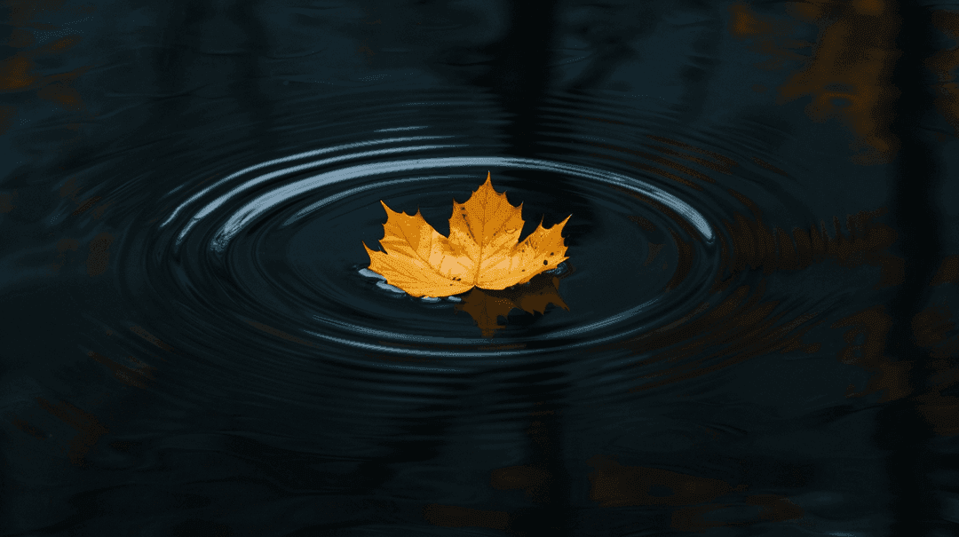 Fall Wallpaper 22 - Autumn Aesthetic Phone Background HD