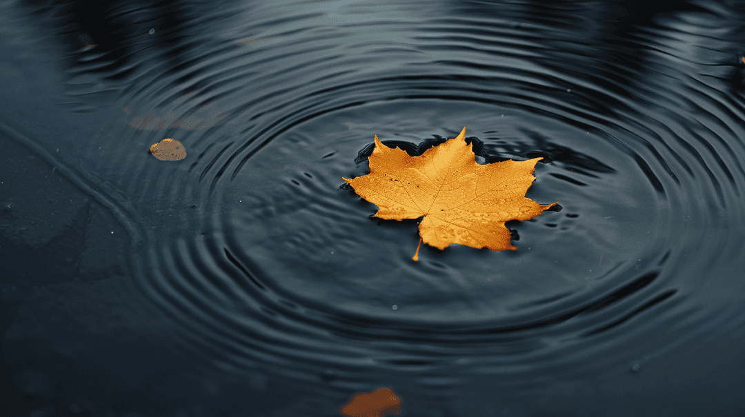 Fall Wallpaper 23 - Autumn Aesthetic Phone Background HD