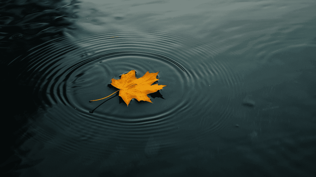 Fall Wallpaper 24 - Autumn Aesthetic Phone Background HD