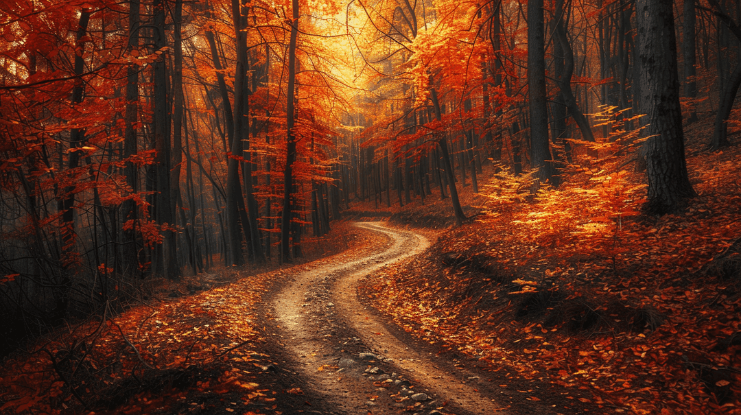 Fall Wallpaper 4 - Autumn Aesthetic Phone Background HD