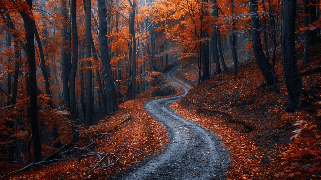 Fall Wallpaper 6 - Autumn Aesthetic Phone Background HD