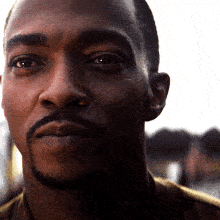Anthony Mackie Meme 13 - Funny Reaction GIF