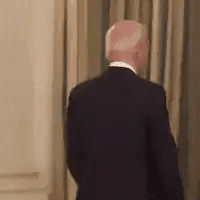 Biden Meme 9 - Funny Biden Reaction Image