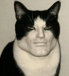 Chad Meme 5 - Gigachad GIF