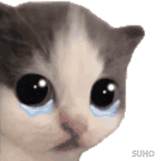 Crying Cat Meme 2 - Sad Cat Reaction GIF