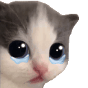 Crying Cat Meme 4 - Sad Cat Reaction GIF