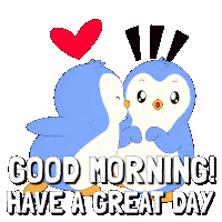 Good Morning Meme 11 - Funny Good Morning Reaction GIF