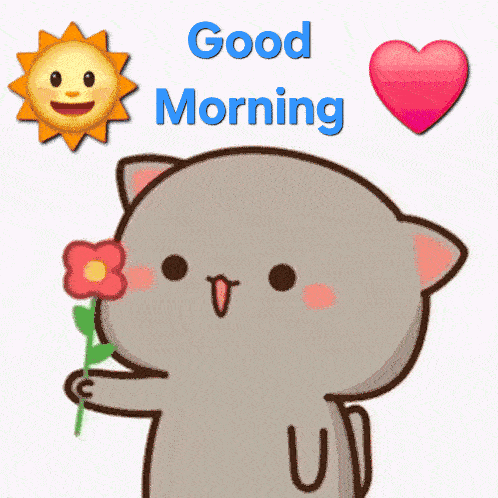 Good Morning Meme 6 - Funny Good Morning Reaction GIF
