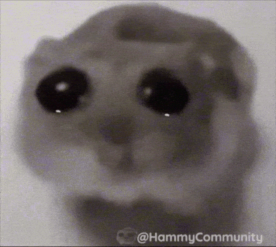 Hamster Meme 2 - Funny Hamster GIF