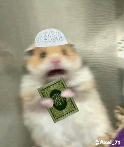 Hamster Meme 7 - Funny Hamster Image