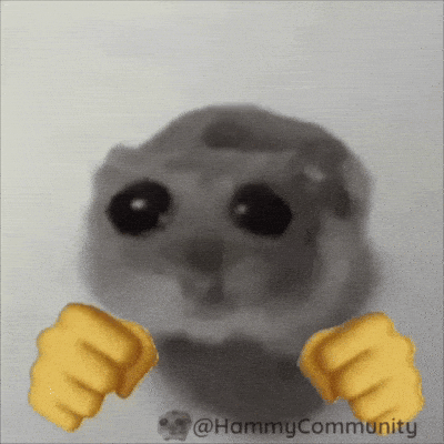 Hamster Meme 8 - Funny Hamster GIF