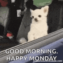 Monday Meme 14 - Funny Monday GIF