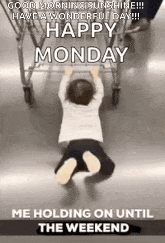 Monday Meme 2 - Funny Monday GIF