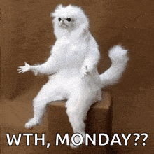Monday Meme 3 - Funny Monday GIF