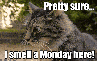 Monday Meme 5 - Funny Monday GIF