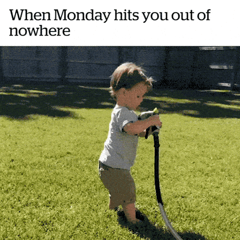 Monday Meme 7 - Funny Monday GIF
