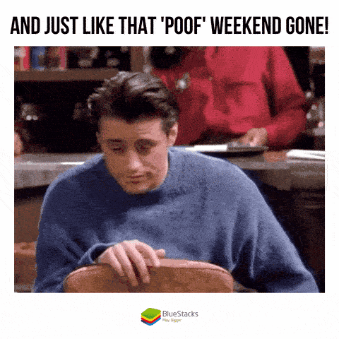 Monday Meme 8 - Funny Monday GIF