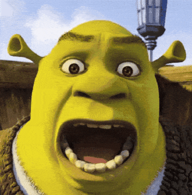 Shrek Meme 12 - Funny Shrek Reaction GIF