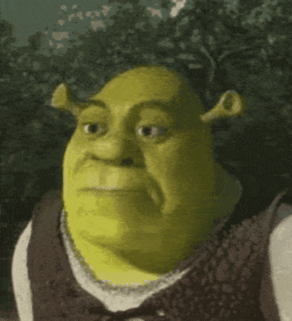 Shrek Meme 14 - Funny Shrek Reaction GIF