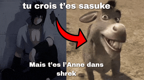 Shrek Meme 2 - Funny Shrek Reaction GIF