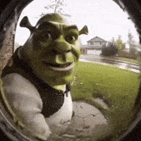 Shrek Meme 5 - Funny Shrek Reaction GIF