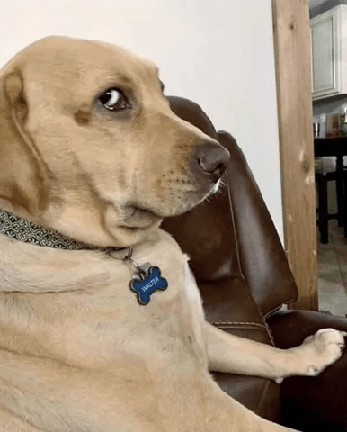 Side Eye Meme 10 - Funny Side Eye Reaction Image