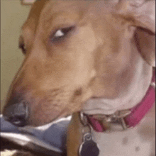 Side Eye Meme 2 - Funny Side Eye Reaction GIF