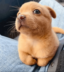 Side Eye Meme 5 - Funny Side Eye Reaction GIF