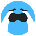 TikTok Cry emoji - shortcode [cry]